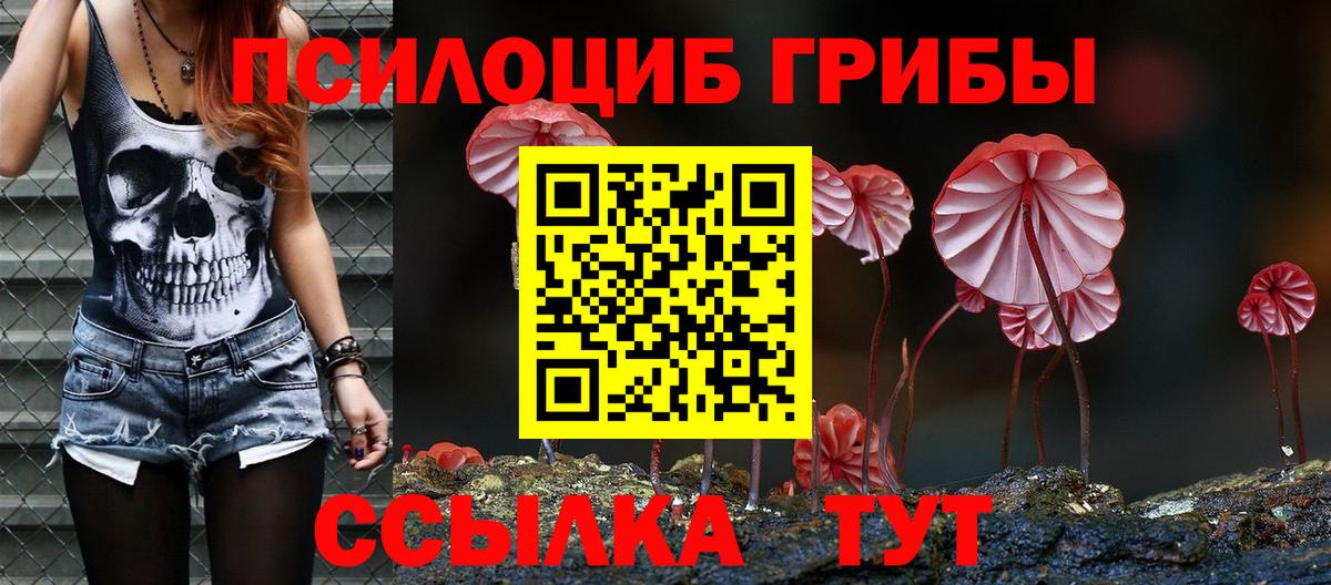 Псилоцибиновые грибы прущие грибы Костомукша