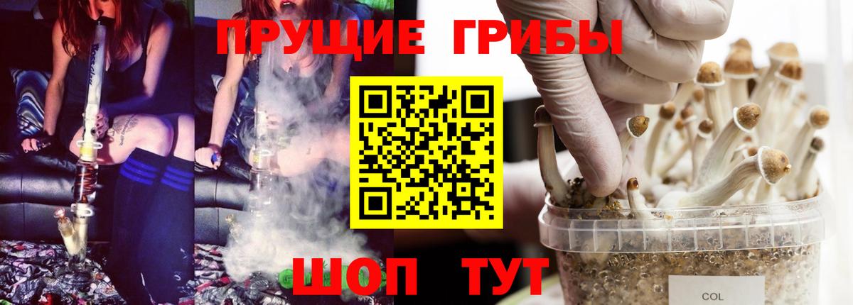 Галлюциногенные грибы Psilocybine cubensis  Псилоцибиновые грибы мухоморы  Вход с VPN  Костомукша 