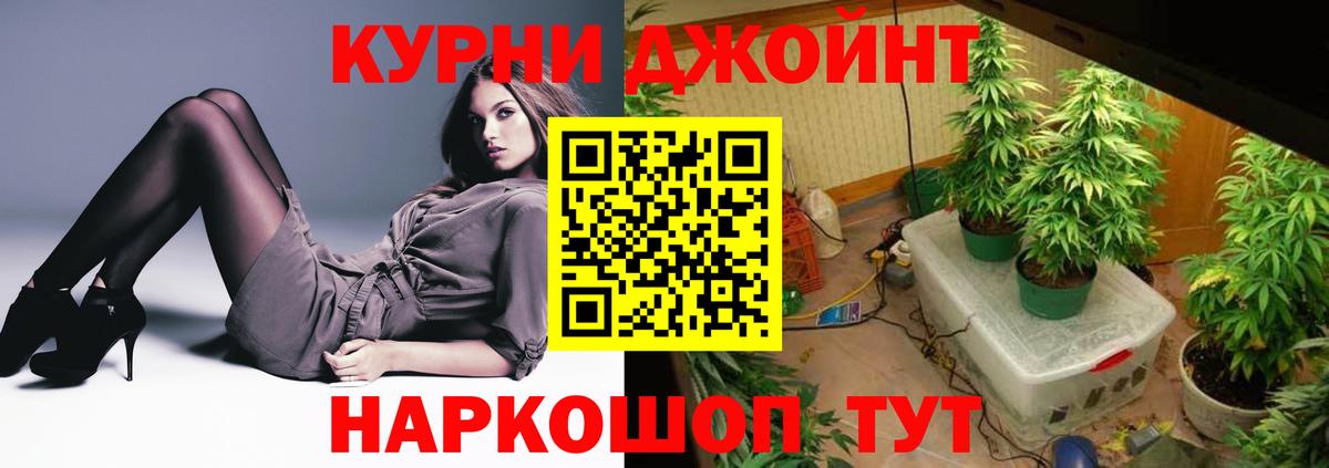 Каннабис OG Kush  Канабис VHQ  Бошки марихуана OG Kush  Костомукша  Вход с VPN 